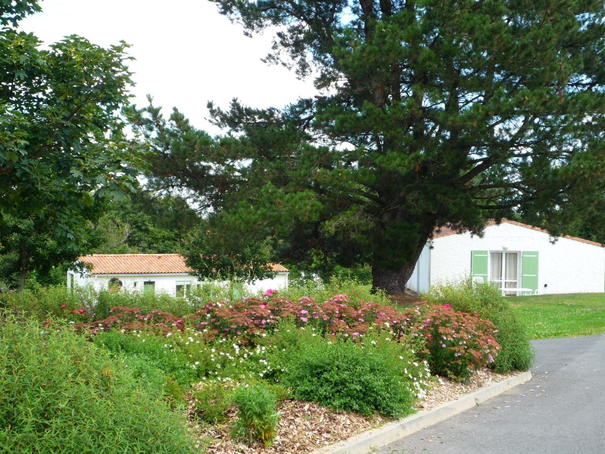 Village Vacances De Chantonnay Buitenkant foto